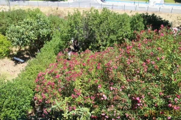 Boa Vivenda Villa Carcavelos  Bagian luar foto